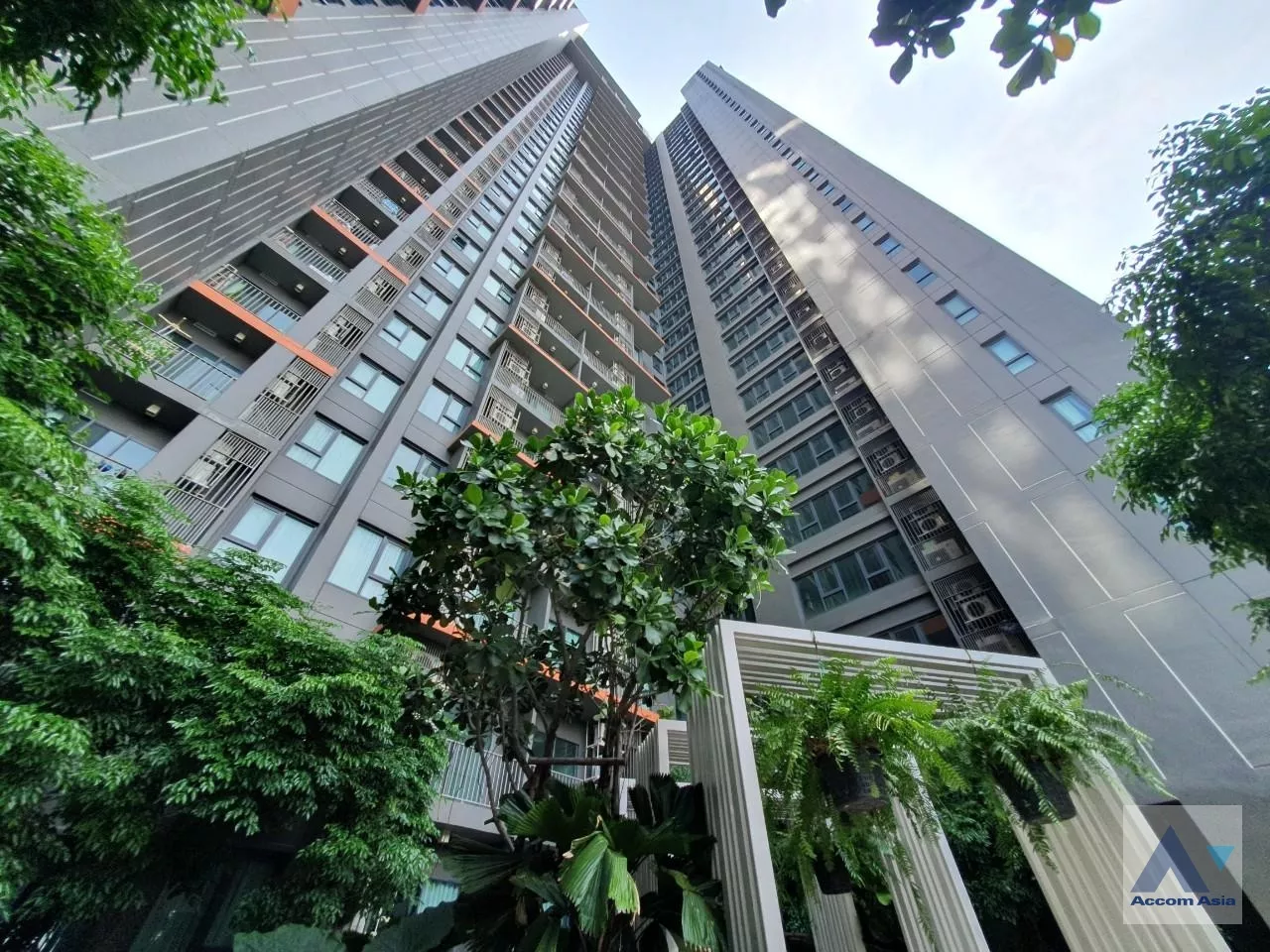  1 br Condominium For Sale in Sukhumvit ,Bangkok BTS Ekkamai at C Ekkamai AA34194