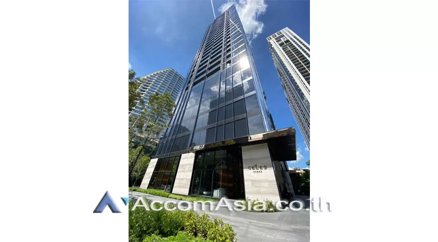  1 Bedroom  Condominium For Rent in Sukhumvit, Bangkok  near BTS Asok - MRT Sukhumvit (AA30997)